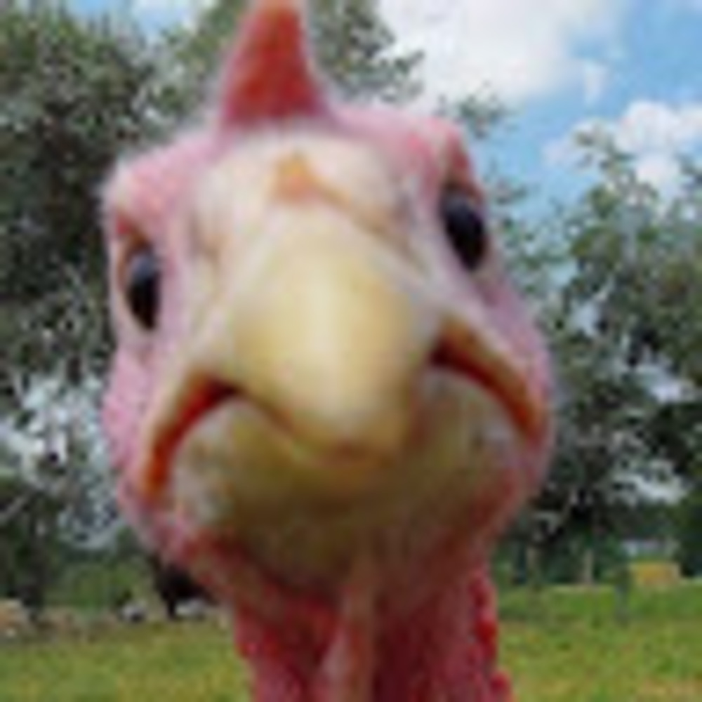 Meet your Posher, Richie